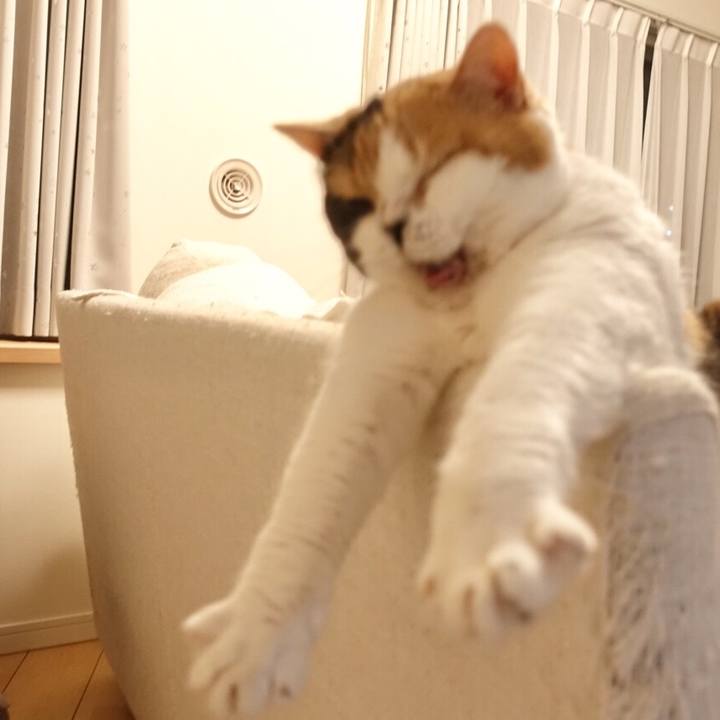 1c7a0c4a d740 48b4 9611 52a7d8703450 1527951905587