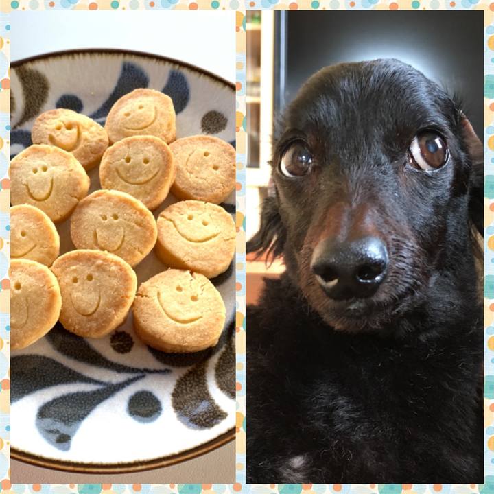 1c7a0d05 bfab 4113 a08b 588138214aba 1647830670491