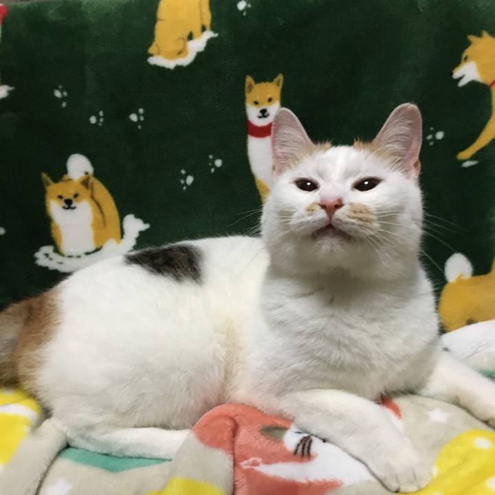 1c7a3308 ea04 4e6f 93fc 7a0547d0c343 1517056149203