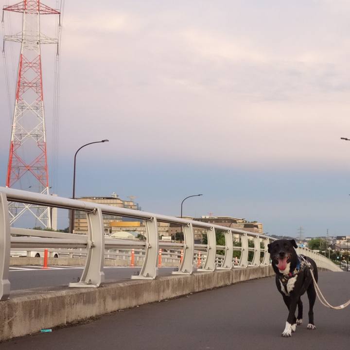 1c7a37e9 6db0 441c a8e3 fb22120b1a98 1656933320808