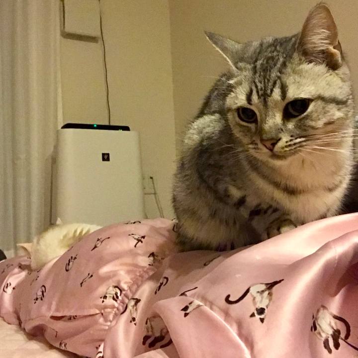 1c7a619d e71d 4daf b2cb 7af84f15ac6f 1508161044612