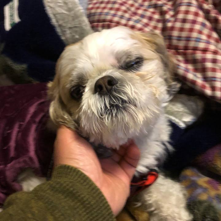 1c7a6a7b 3871 49c8 9494 415950768d9d 1584567844762