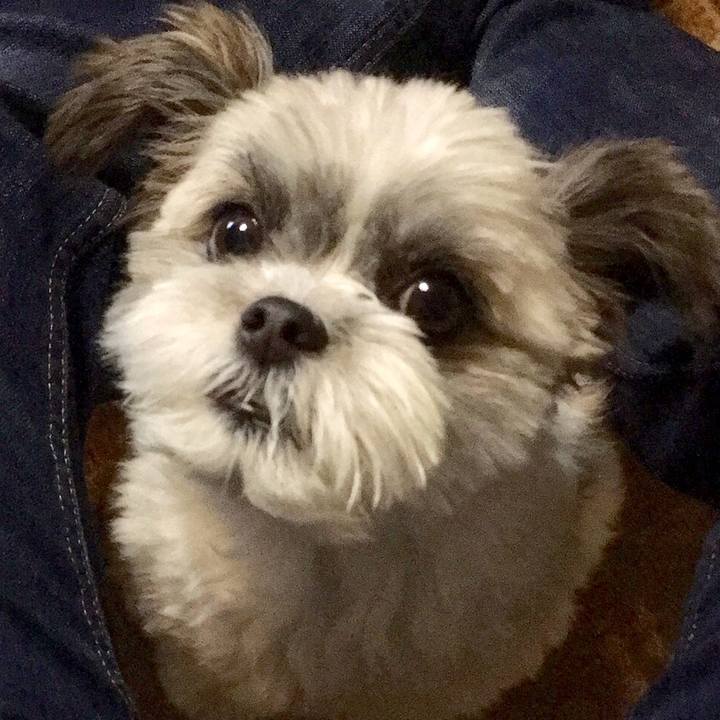 1c7a720d 710b 43f6 b753 8aa627ed2448 1537912861958