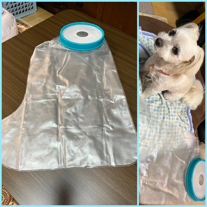 1c7a7252 6dd4 40b5 bbf1 cbf5d7a1fe6b 1687410571127