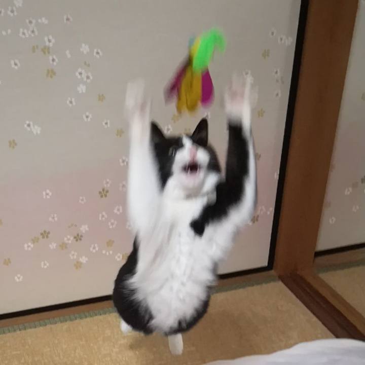 1c7a9354 68ba 436a a115 83307804825a 1585748036217