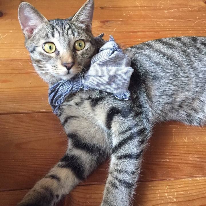 1c7ac2c5 1023 484c 85cb 99c0606f3890 1544636082758