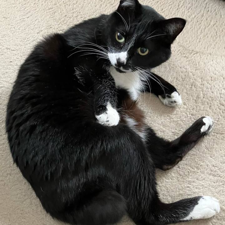 1c7af434 3bfa 494a b0aa c03a6d186e7c 1713756859363