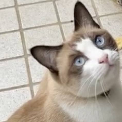 1c7b164c 8c88 4c2c be15 eb633aac8880 1731738202608