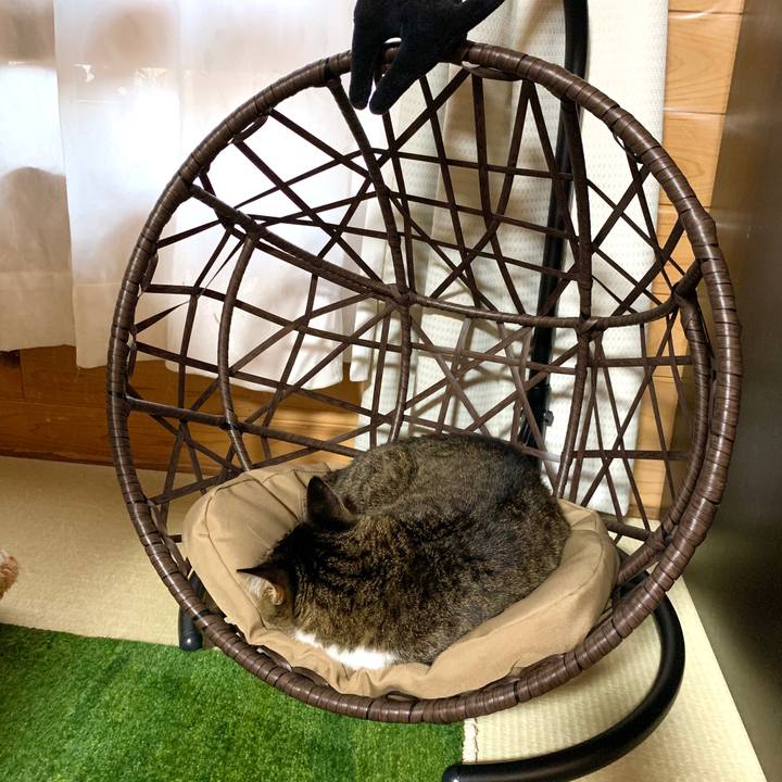 1c7b37d5 088e 4a1c 913b 7ee73dae8789 1594980309944