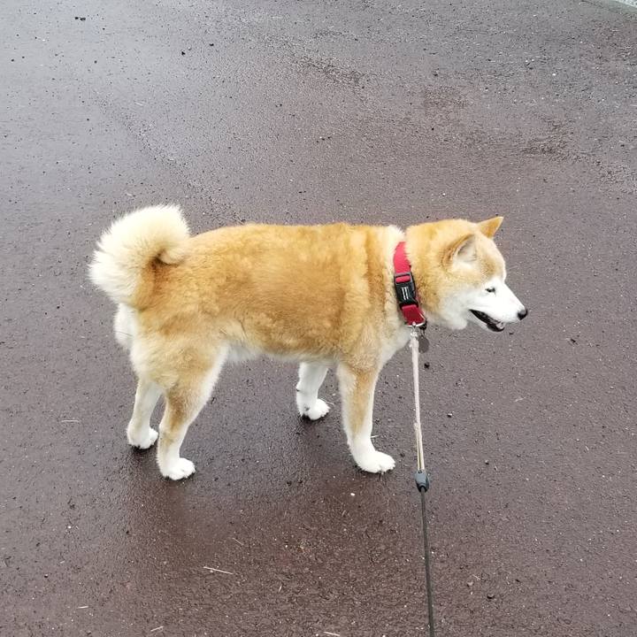 1c7b398f 79c5 4106 b689 1b0cbf3b698d 1719542287409