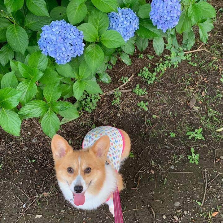 1c7b4533 155e 4045 8755 c0757c4bb6d9 1562061945975