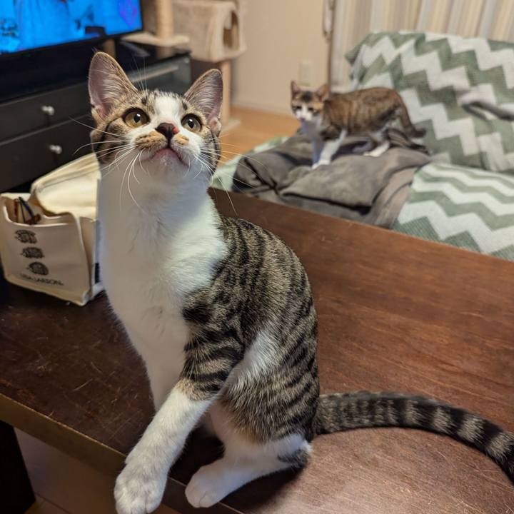 1c7b4924 a99b 417e 86a8 f26d0fe9df2a 1732171732478