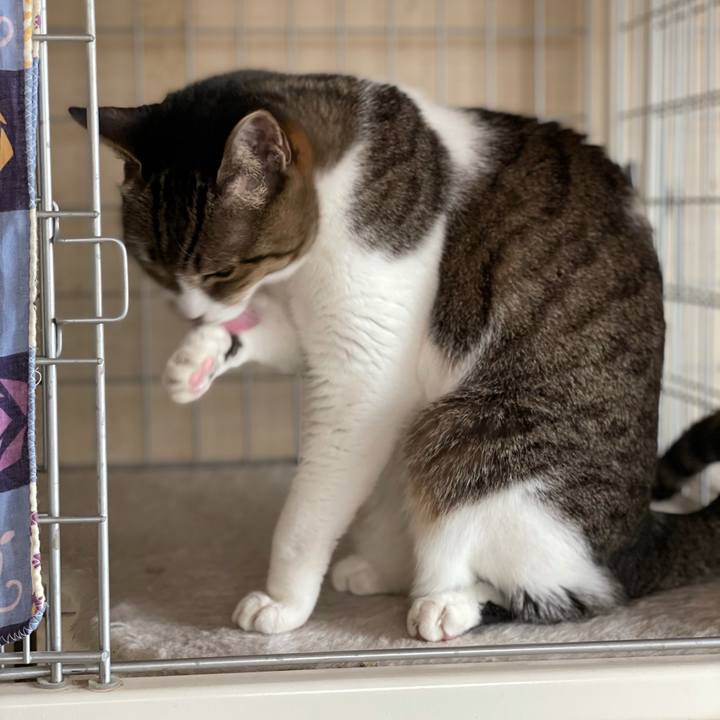 1c7b9379 944f 4b08 8bc4 00eccde076d3 1610414580885