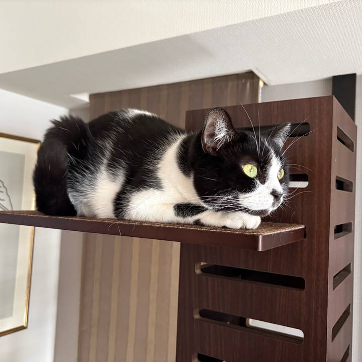 1c7bfd14 08b1 43f0 aeb2 b6aa70c0f1a5 1772423388588