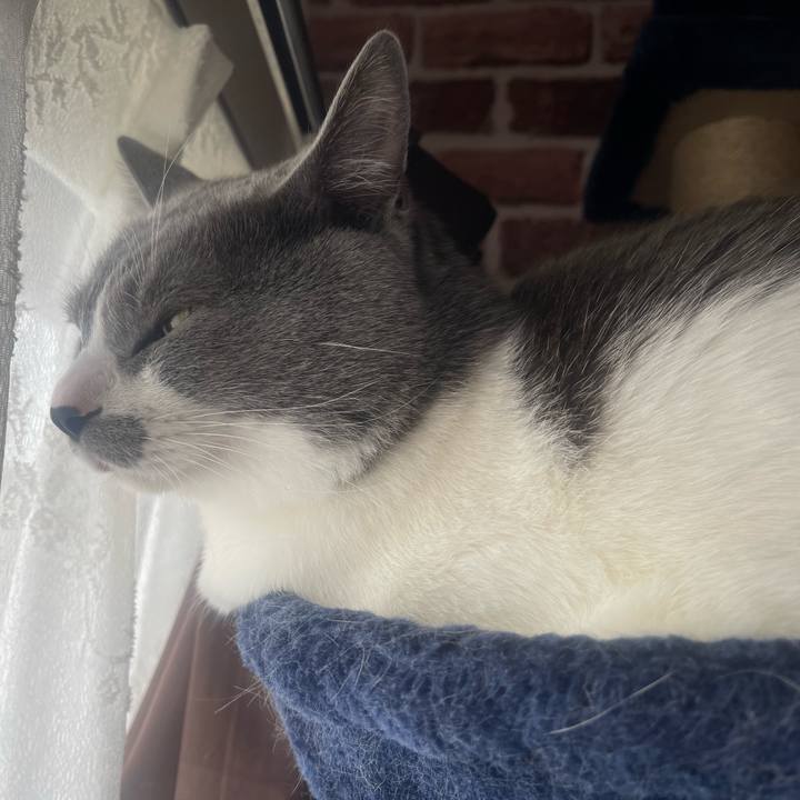 1c7c478a 8d14 4293 b7dc b83acf243fdd 1650155902743