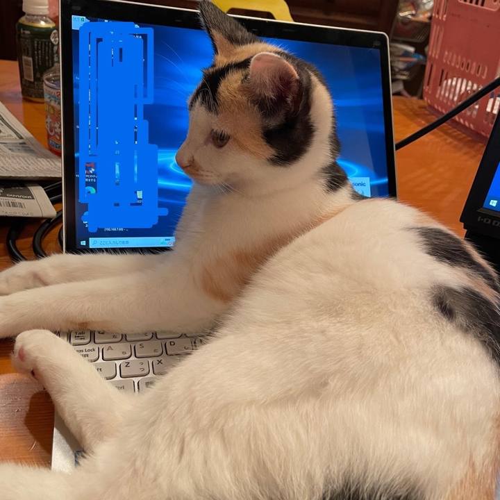 1c7c63fb 3c5e 4186 8f96 f0643c796d23 1666097736185