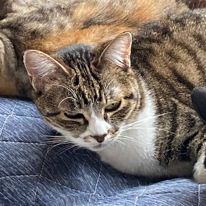 1c7cf1ea 4253 4e6f ae57 a1ab0a4d52d9 1585417939027