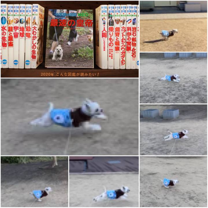 1c7d3873 ee89 4108 85fd 4e2243f4b774 1578221107977