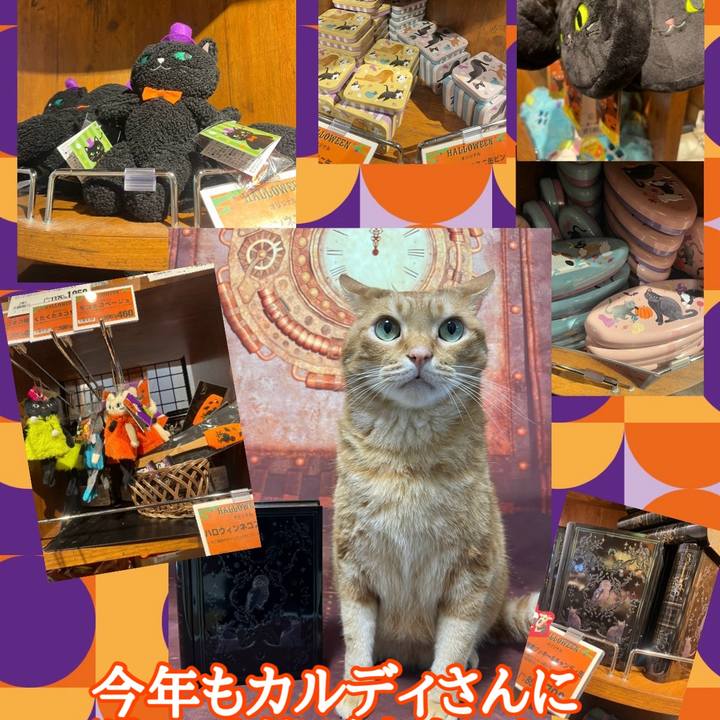 1c7d500a 6f2f 47a5 805d 4b246b6c5ba6 1725182872763