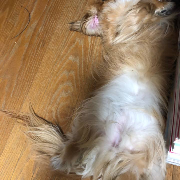 1c7d5bdc bdbd 4180 965a 12455e4c0c1a 1558994476114