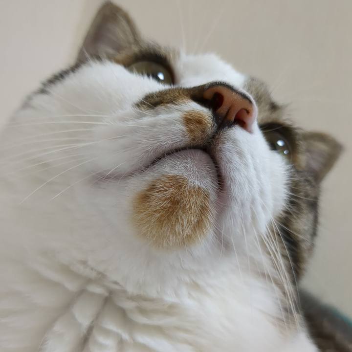 1c7d641a b23a 4d6e bb31 d69f36724535 1689316615730