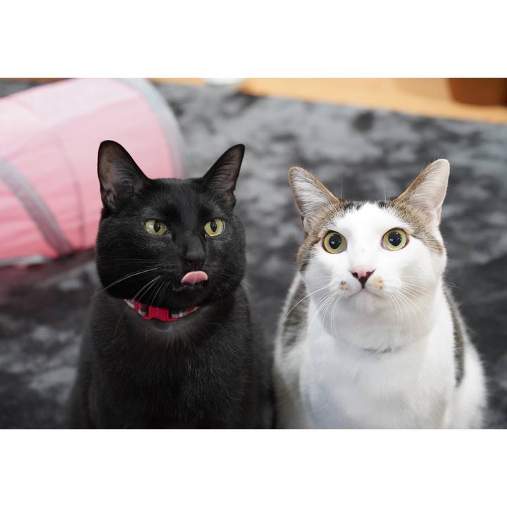 1c7da307 ed9b 457d b577 afef03c54ff1 1579650441658