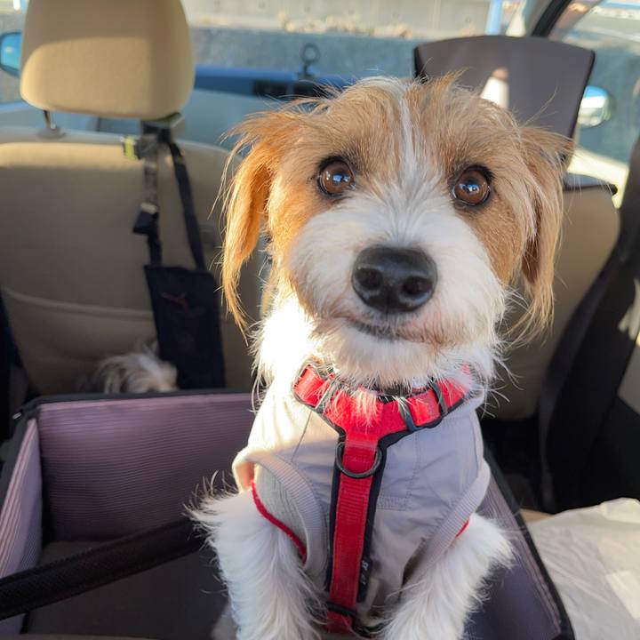 1c7dedf6 0d0b 4d0f bb20 f0d35d7d3634 1768218231488