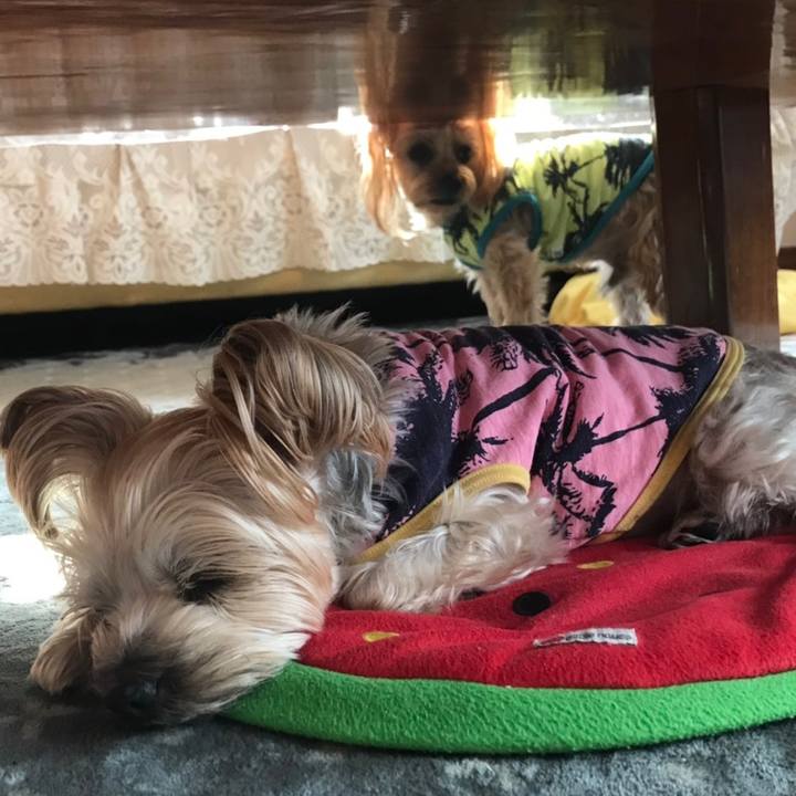 1c7df722 d104 46db 8949 91742388a4ec 1552954780227