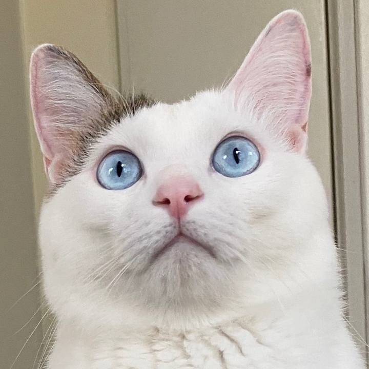 1c7e2868 358b 4c43 9ffa 5f3db470fcfe 1582934349199