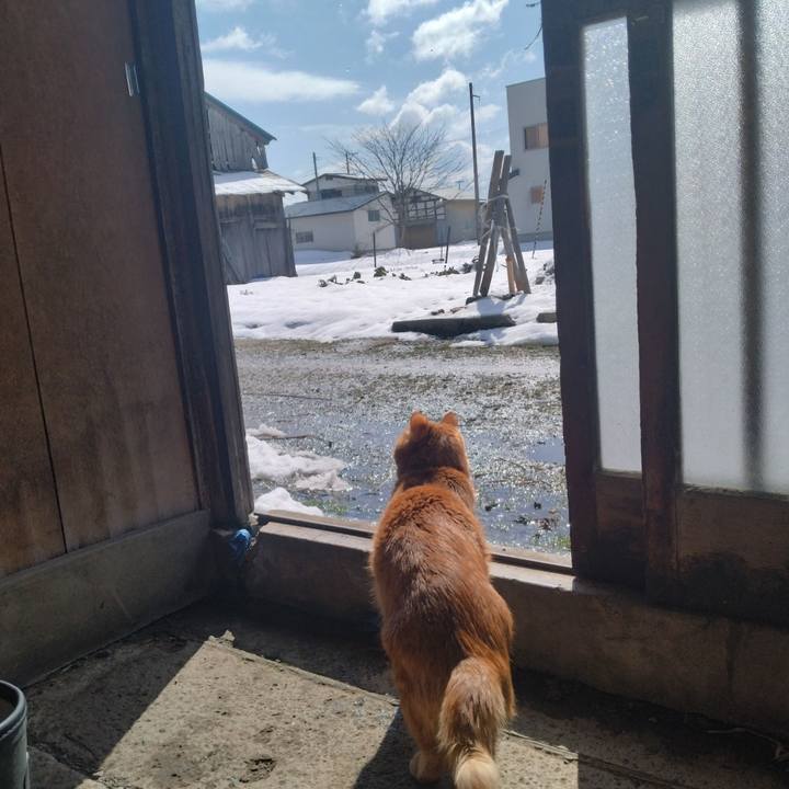 1c7e3480 0596 4063 a0bf 9c26a805cf95 1709775419985