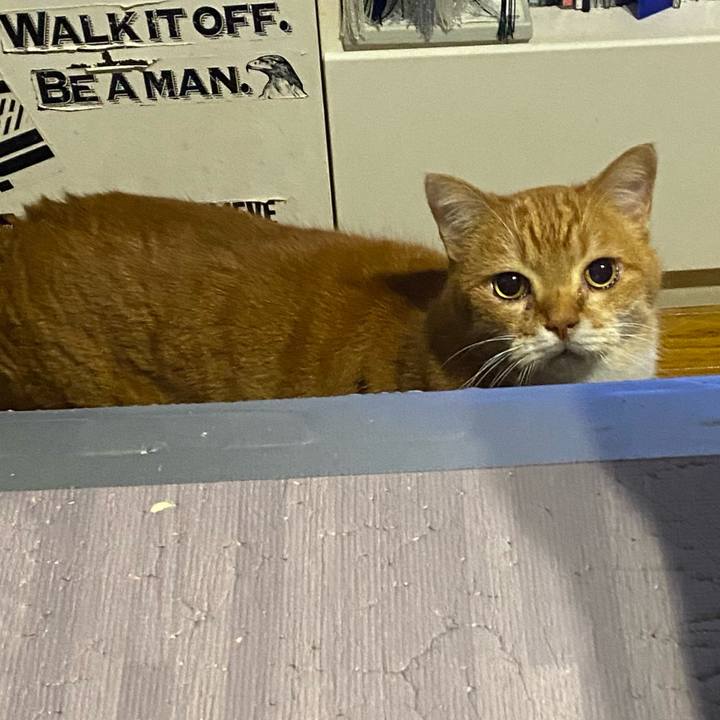 1c7e6bcc 4eeb 4755 939e aa7a26811e5f 1674143533121