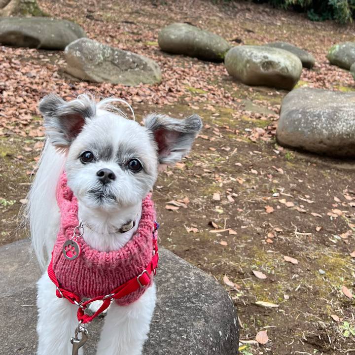 1c7e8641 a4ff 4a05 b51f f756ec8b72c9 1737364850773