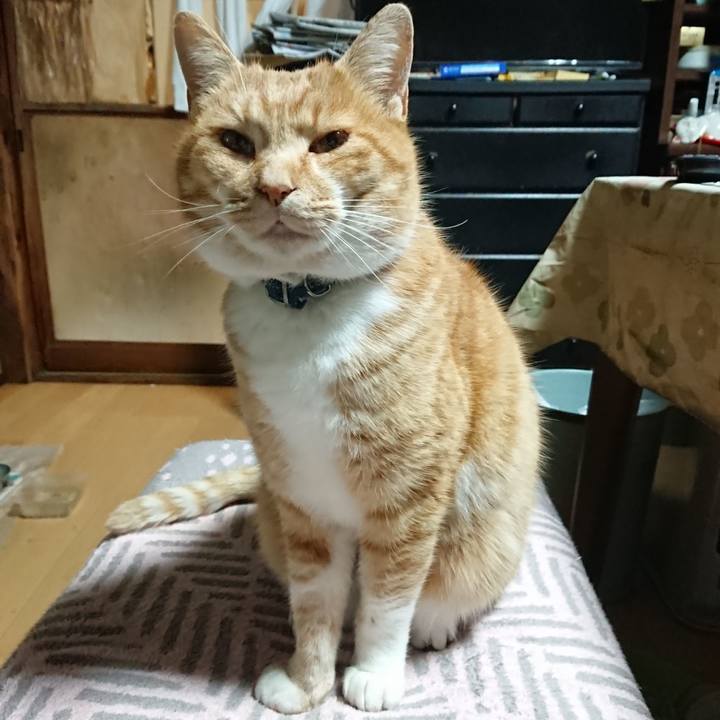 1c7f0b44 cc92 4a11 a6ee c9c2b4158bfc 1607804336152