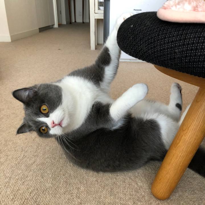 1c7f112a 4387 4458 946a e6e0a94cfccd 1525263219976