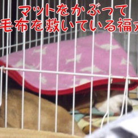 1c7f2ece f038 4911 81b3 228b3e55ff91 1699660215825