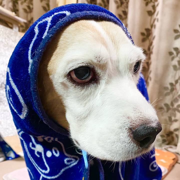 1c7f337f d644 400f 93f4 bd1251e0804d 1666669474604