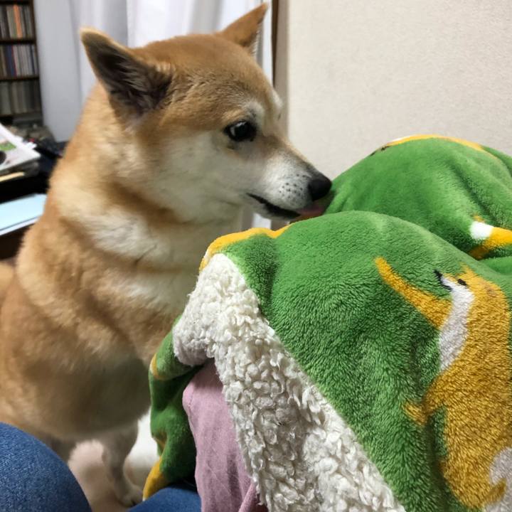 1c7f6d76 e86b 42bd a2ea 1c4b20747d6c 1585980721872