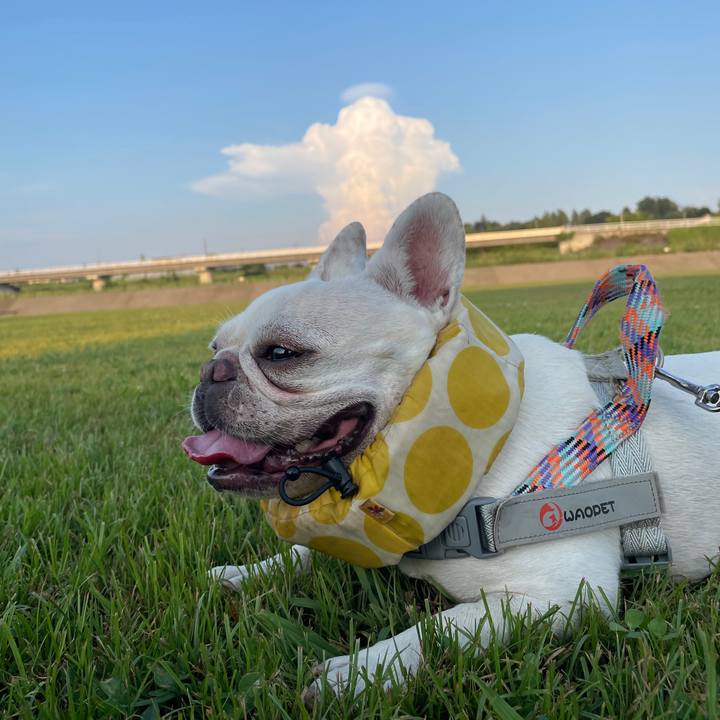 1c7f756d 4a03 4626 b9f9 434f07fbf3af 1756594655048