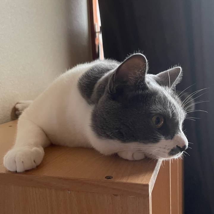 1c7f98d9 0375 45f2 8be0 20e8c30ab3bd 1659431402365