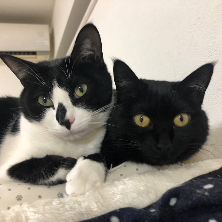 1c7fadac c893 492c b768 ec26ba3481c8 1589098203725