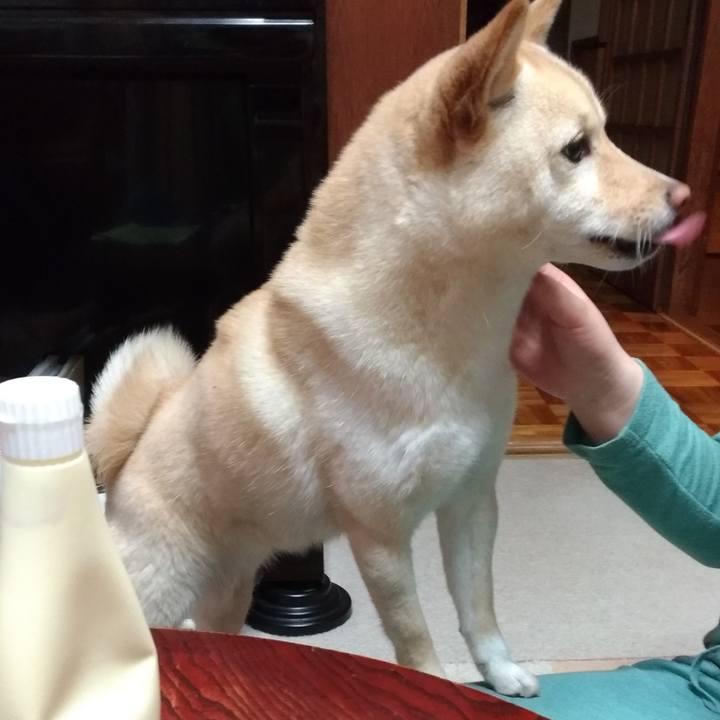 1c7fb31e 9a60 4f3a b7e5 878b90e22451 1555672778412