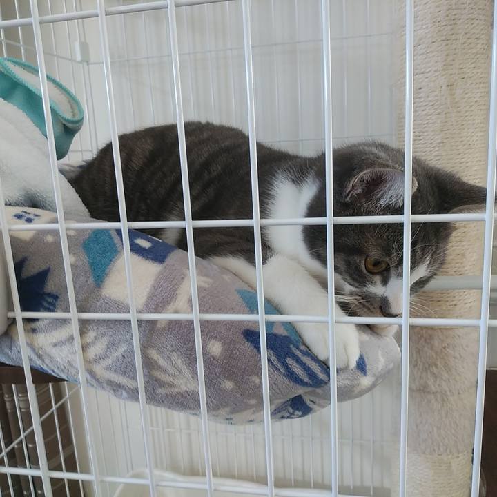 1c7fb5c0 9d70 4748 a371 1942e937a9ef 1575426577010