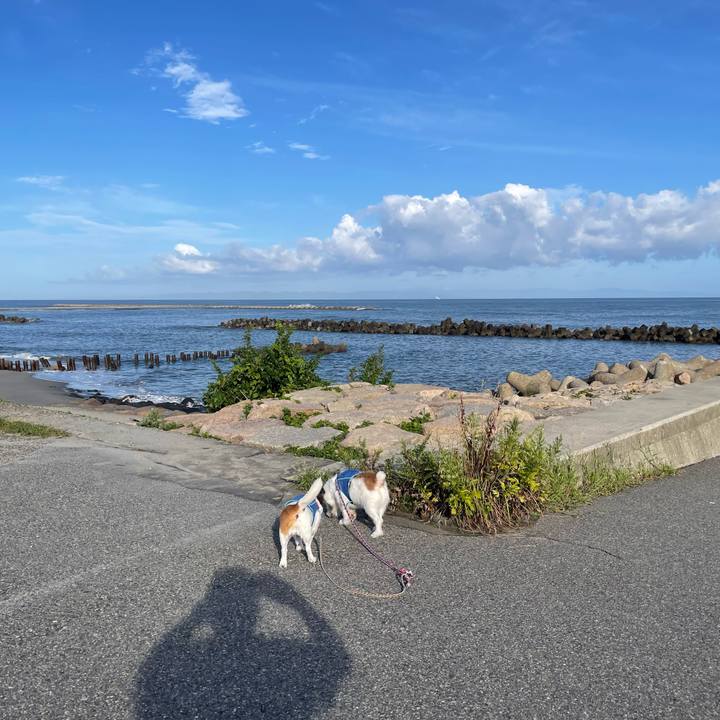 1c7fcdf3 c685 43ea 9675 797ab760283f 1756337878145