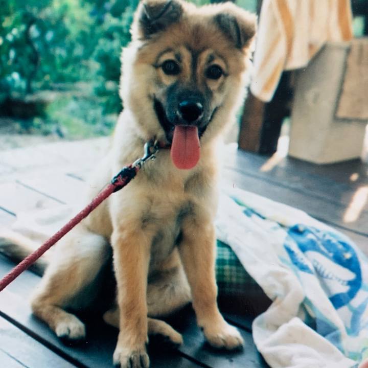 1c7fe381 f1bd 444f 9805 a7e6cff66f99 1575171542485