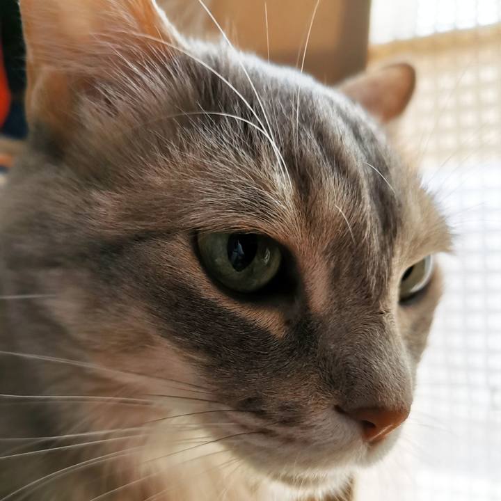 1c7ff117 abd7 491e 88be a3261450255d 1679373211848