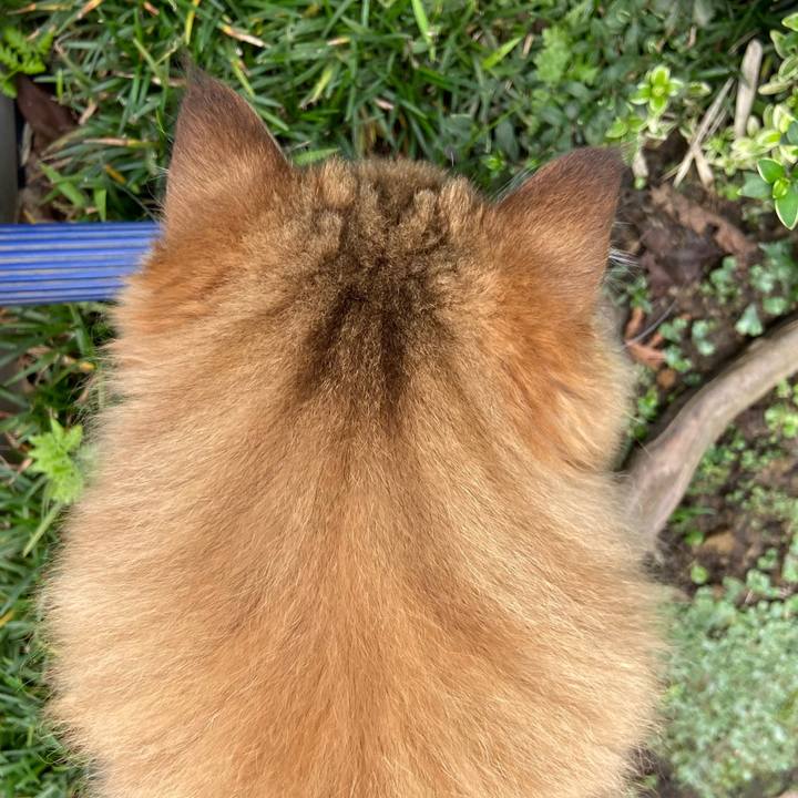 1c7ff396 45db 45c5 9434 e1e32761e677 1630134420895