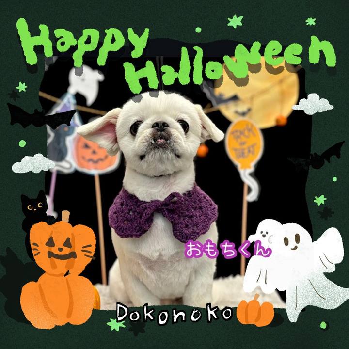 1c800246 4398 4575 8156 a03218d364c1 1729377172664