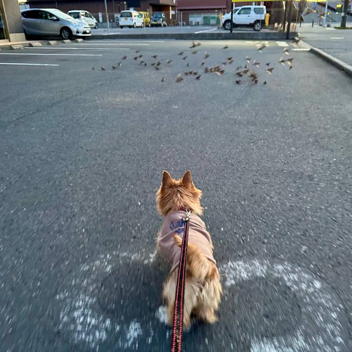 1c800bda 9d7b 4edc 8369 825a5143bdd4 1738810937315