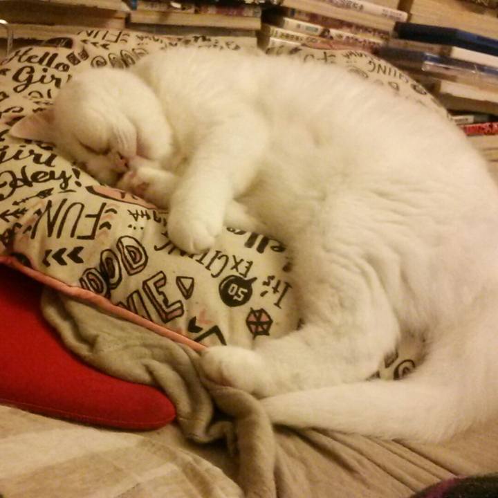 1c80204c c71c 47f4 9584 ca5d2f93d96f 1508649723524