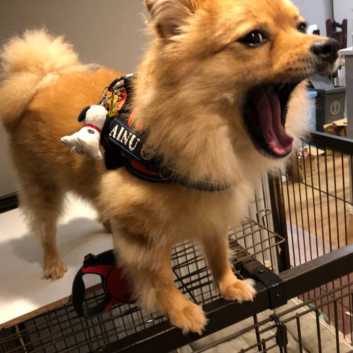 1c80437d 2534 46f8 b477 382491a1cf0d 1658311636037